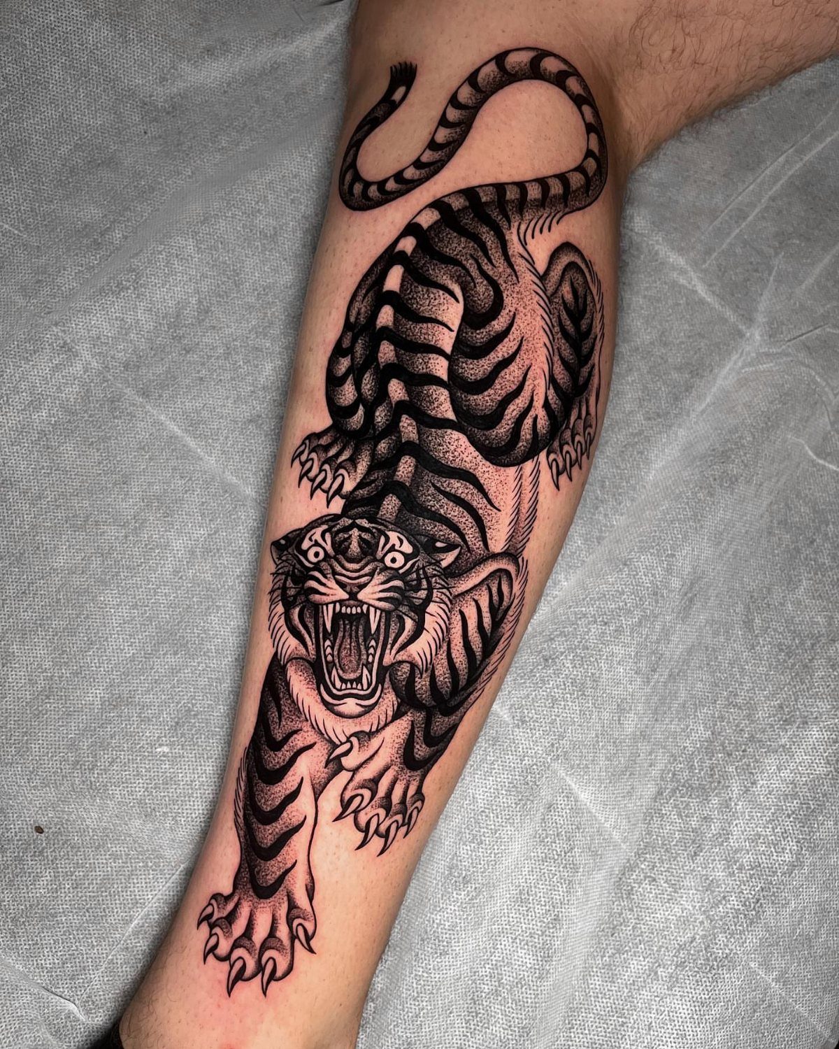 Tiger tattoo on a man's calf featuring a snarling tiger in black and grey ink.