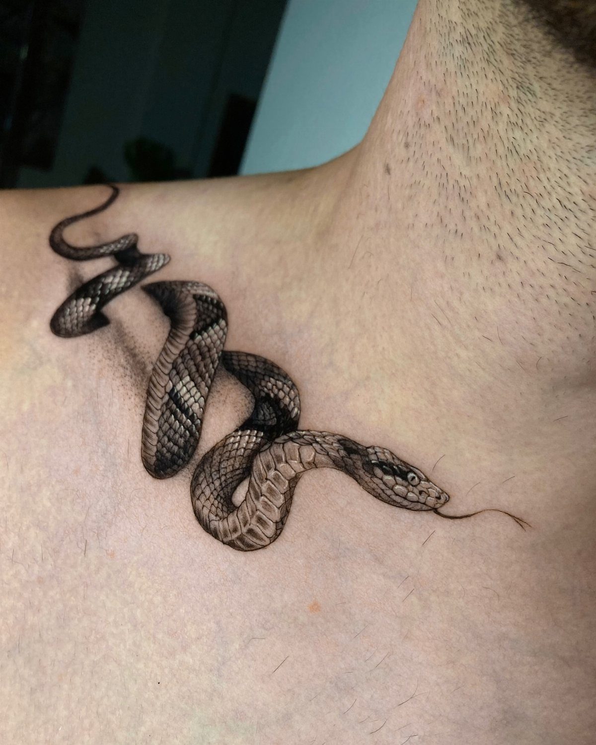 Snake tattoo on a person's collarbone and upper chest in black and grey ink